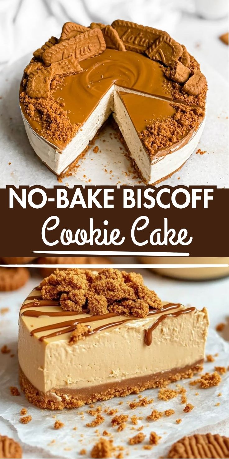 No-Bake Biscoff Cookie Cake Recipe - Home Recipe Guide